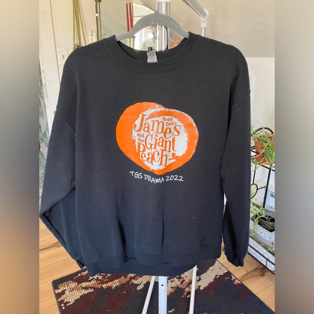 James & The Giant Peach / Unisex Pullover / Large